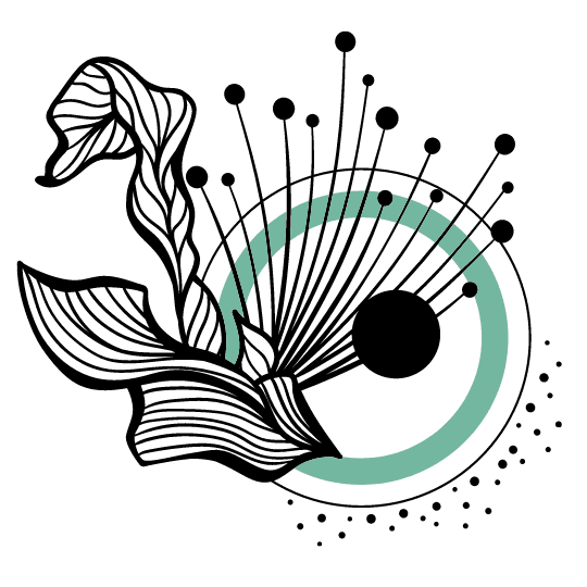 Functional Medicine Boulder Hummingbird Acupuncture