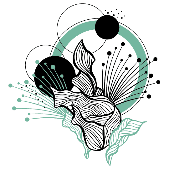 Functional Medicine Boulder Hummingbird Acupuncture