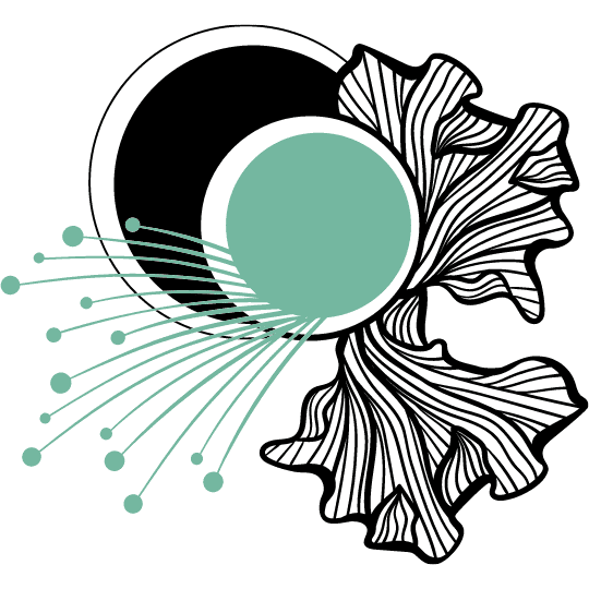 Functional Medicine Boulder Hummingbird Acupuncture