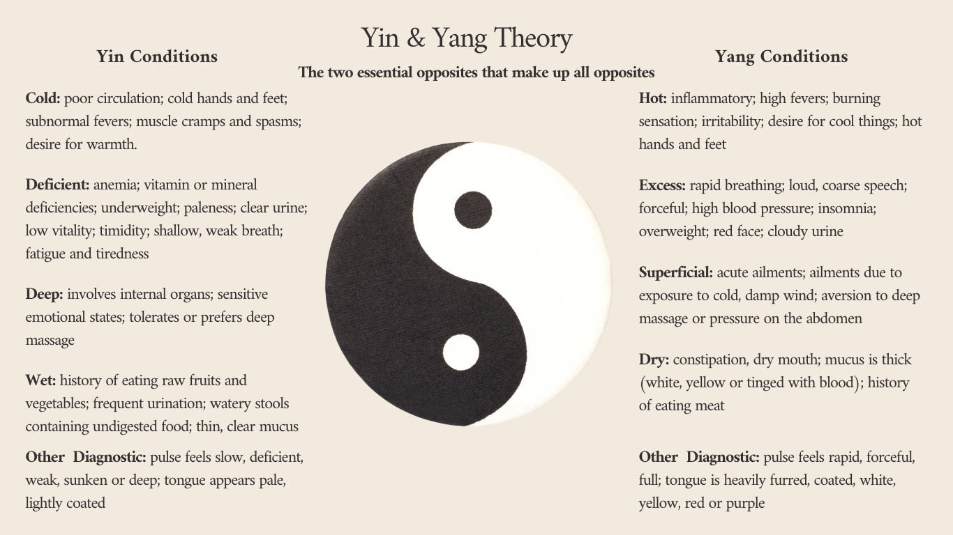 inforgraphic chinese herbalism yin and yang